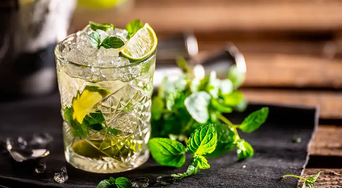 Ako si vyrobiť alkoholické mojito doma