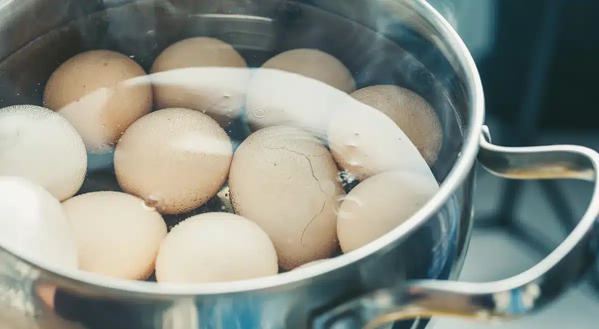 Farmári sa s nami podelili o 7 trikov na prípravu varených vajec. A zdieľame s vami!